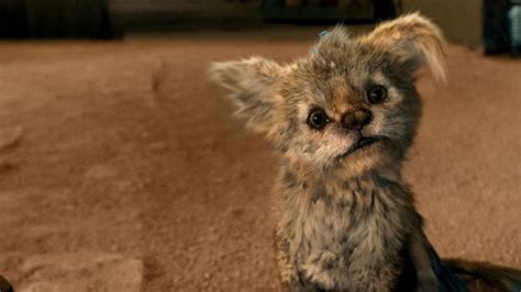gomovie chupa